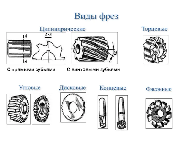 Виды фрез Цилиндрические С прямыми зубьями С винтовыми зубьями Торцевые Угловые Фасонные Дисковые Концевые