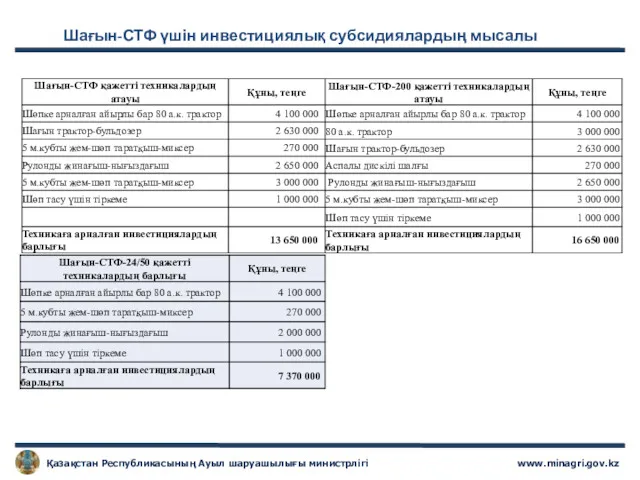 Шағын-СТФ үшін инвестициялық субсидиялардың мысалы