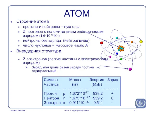 Часть 2: Радиационная Физика АТОМ Строение атома протоны и нейтроны