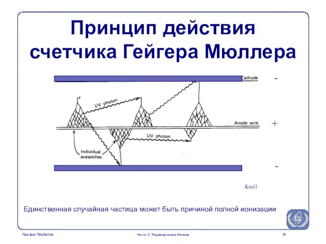 Knoll - + - Единственная случайная частица может быть причиной