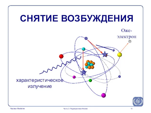 характеристическое излучение Оже-электрон СНЯТИЕ ВОЗБУЖДЕНИЯ Часть 2: Радиационная Физика