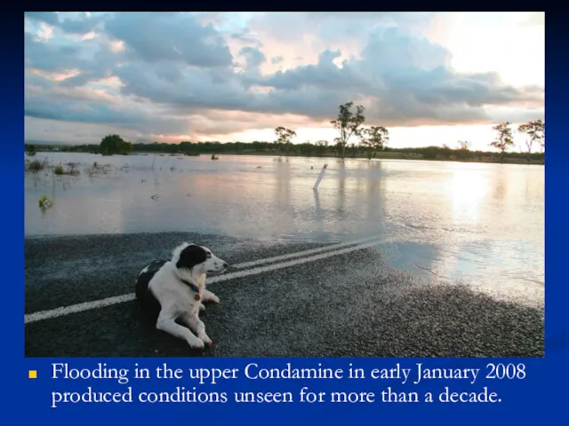 Flooding in the upper Condamine in early January 2008 produced