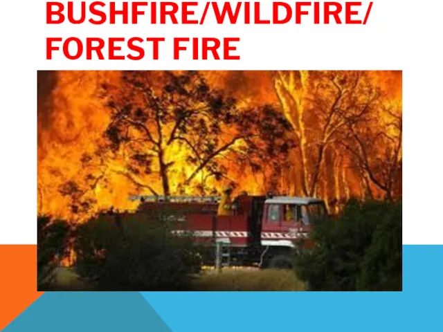 BUSHFIRE/WILDFIRE/ FOREST FIRE