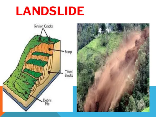 LANDSLIDE