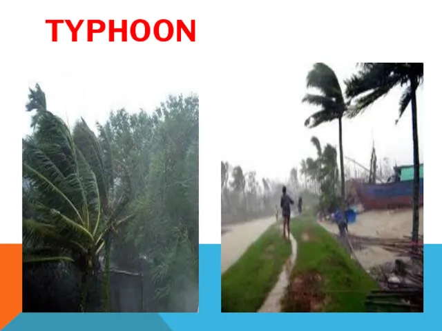 TYPHOON