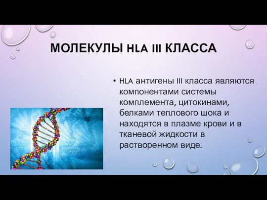 МОЛЕКУЛЫ HLA III КЛАССА HLA антигены III класса являются компонентами