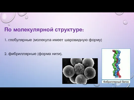 По молекулярной структуре: 1. глобулярные (молекула имеет шаровидную форму) 2. фибриллярные (форма нити).