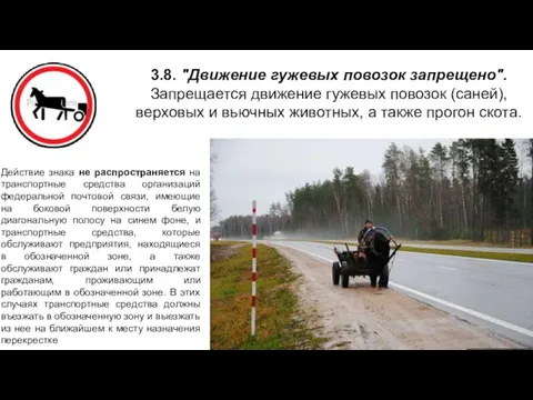 3.8. "Движение гужевых повозок запрещено". Запрещается движение гужевых повозок (саней),