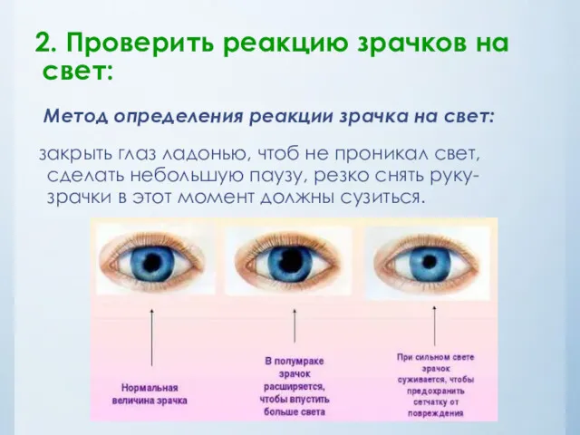 2. Проверить реакцию зрачков на свет: Метод определения реакции зрачка