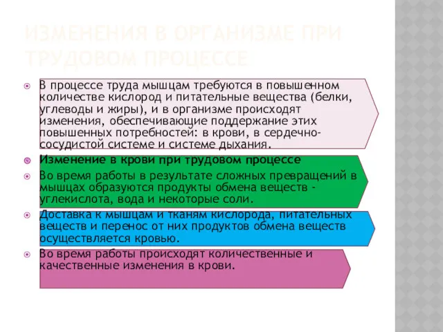 ИЗМЕНЕНИЯ В ОРГАНИЗМЕ ПРИ ТРУДОВОМ ПРОЦЕССЕ В процессе труда мышцам