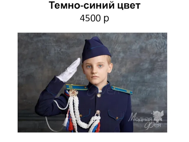 Темно-синий цвет 4500 р