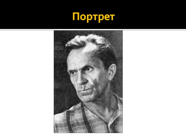 Портрет