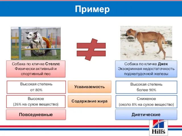 Пример Собака по кличке Джек Экзокринная недостаточность поджелудочной железы Собака по кличке Стеллс