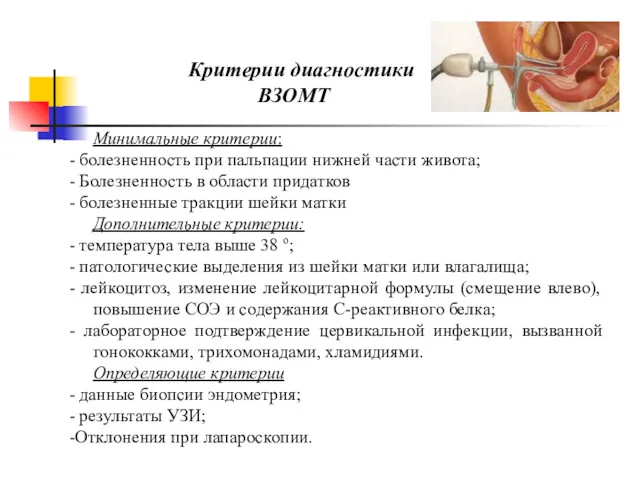 Минимальные критерии: - болезненность при пальпации нижней части живота; -