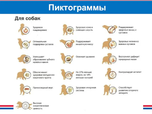 Пиктограммы