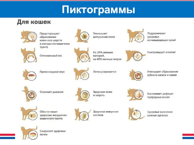 Пиктограммы