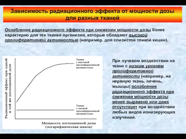 Зависимость радиационного эффекта от мощности дозы для разных тканей Ослабление