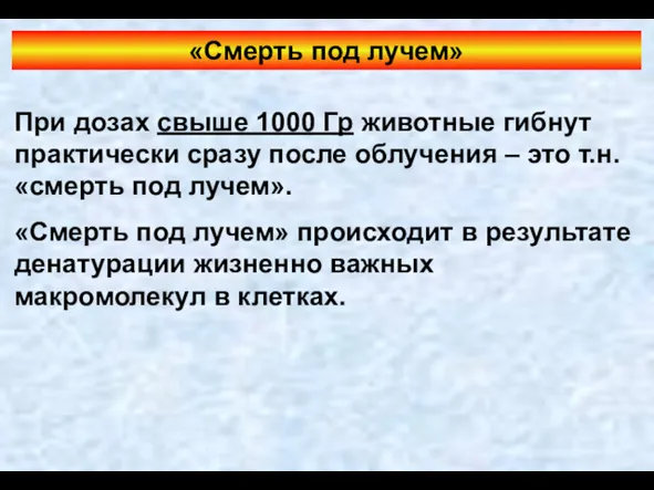 «Смерть под лучем» При дозах свыше 1000 Гр животные гибнут