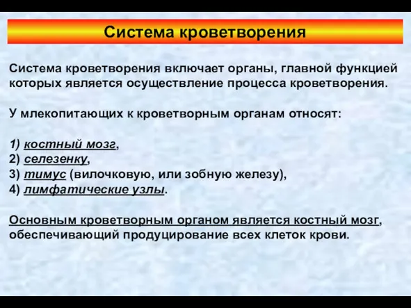 Система кроветворения Система кроветворения включает органы, главной функцией которых является