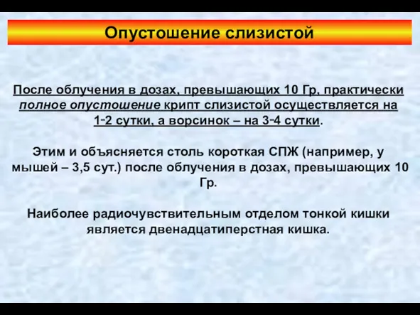 Опустошение слизистой После облучения в дозах, превышающих 10 Гр, практически