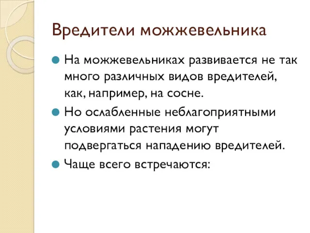 Вредители можжевельника На можжевельниках развивается не так много различных видов