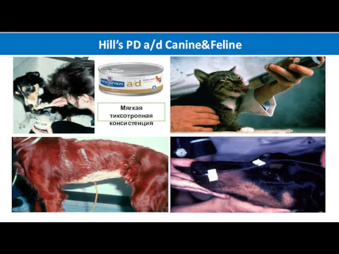 Hill’s PD a/d Canine&Feline Мягкая тиксотропная консистенция