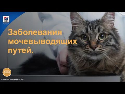 Veterinary Pet Insurance data, US, 2012 Меняем жизнь к лучшему!™