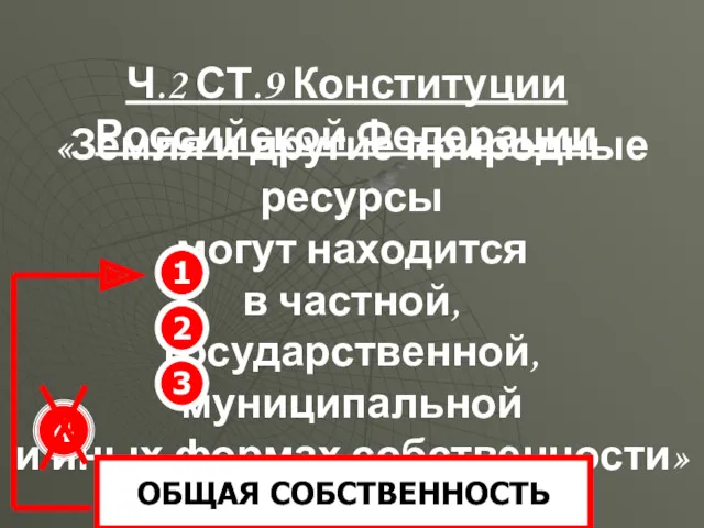 «Земля и другие природные ресурсы могут находится в частной, государственной,