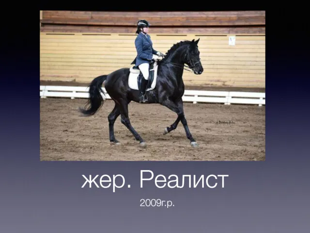 жер. Реалист 2009г.р.