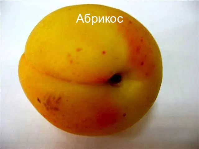 Абрикос