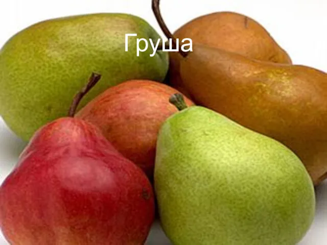 Груша