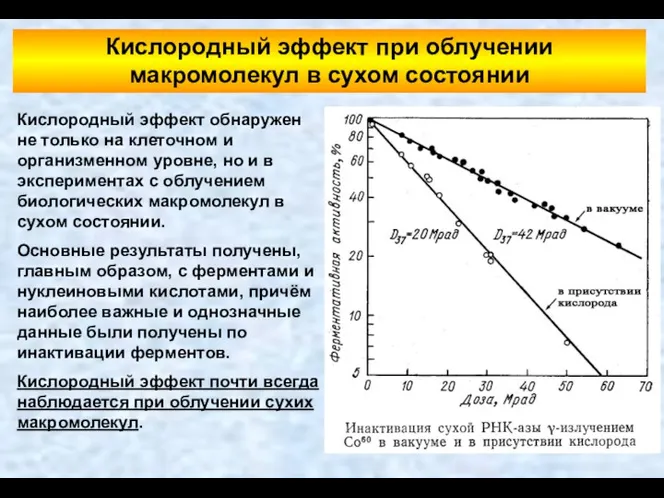 Кислородный эффект обнаружен не только на клеточном и организменном уровне,