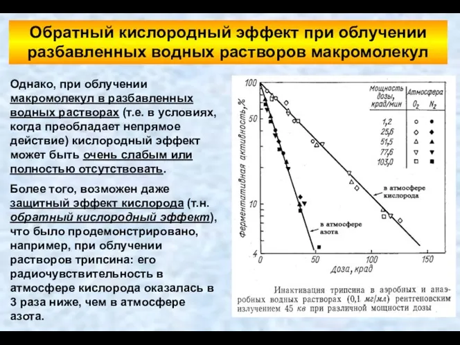 Обратный кислородный эффект при облучении разбавленных водных растворов макромолекул Однако,