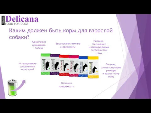 Каким должен быть корм для взрослой собаки? Клинически доказанная польза