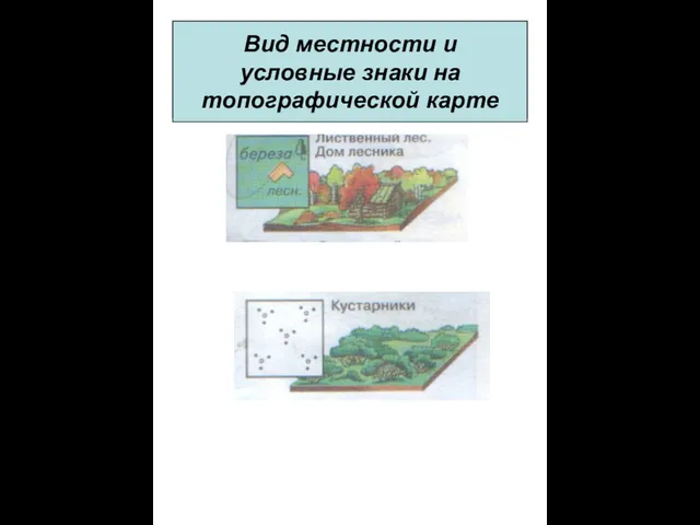 Условные знаки на топографической карте Вид местности и условные знаки на топографической карте