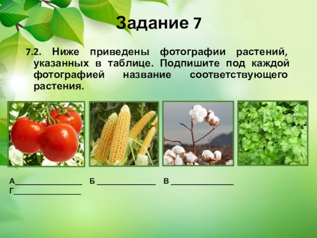 Задание 7 7.2. Ниже приведены фотографии растений, указанных в таблице.