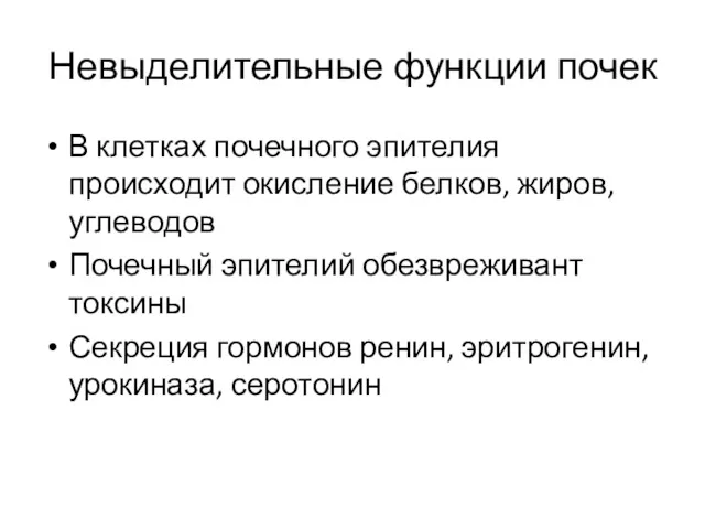 Невыделительные функции почек В клетках почечного эпителия происходит окисление белков,