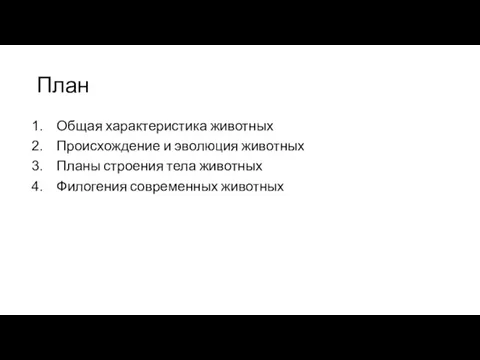 План Общая характеристика животных Происхождение и эволюция животных Планы строения тела животных Филогения современных животных