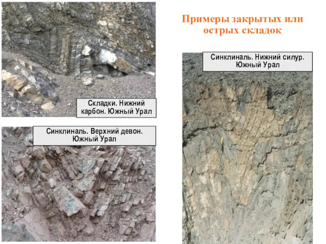 Синклиналь. Верхний девон. Южный Урал Примеры закрытых или острых складок