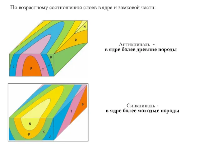 Синклиналь - в ядре более молодые породы Антиклиналь - в