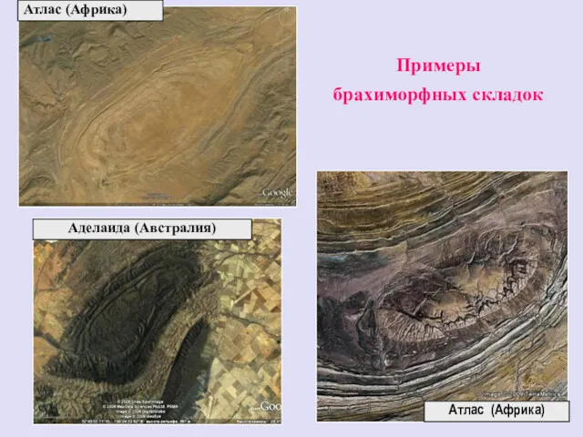 Атлас (Африка) Аделаида (Австралия) Атлас (Африка) Примеры брахиморфных складок