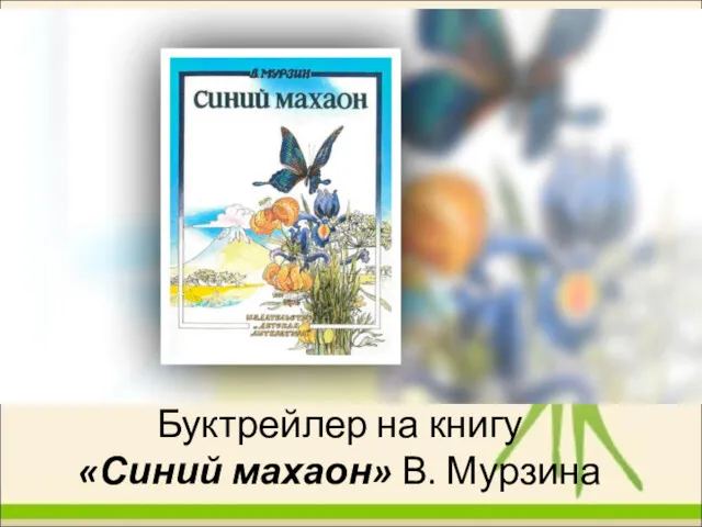 Буктрейлер на книгу «Синий махаон» В. Мурзина