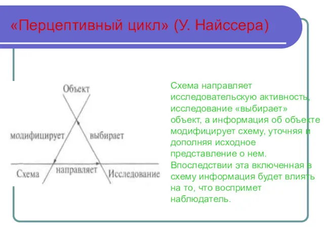 «Перцептивный цикл» (У. Найссера) Схема направляет исследовательскую активность, исследование «выбирает»