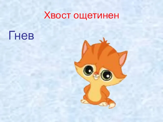 Хвост ощетинен Гнев