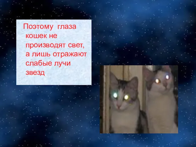 Поэтому глаза кошек не производят свет, а лишь отражают слабые лучи звезд