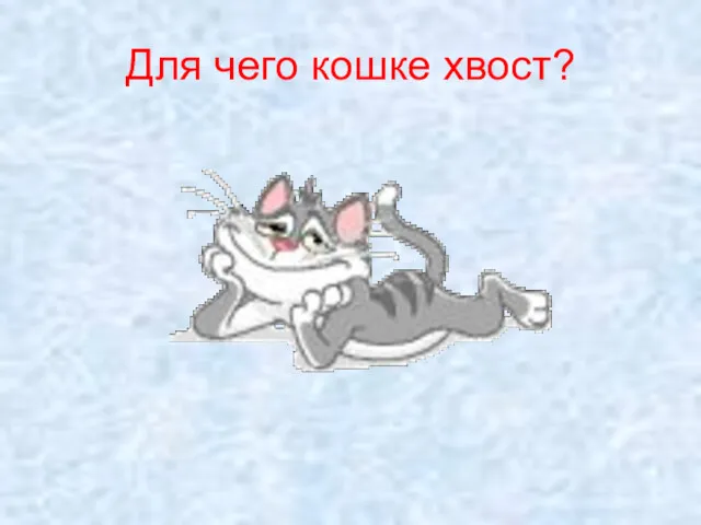 Для чего кошке хвост?