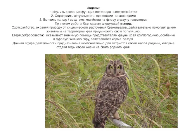 Задачи: 1.Изучить основные функции охотоведа в охотхозяйстве 2. Определить актуальность профессии в наше