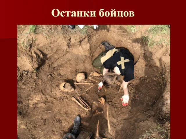 Останки бойцов