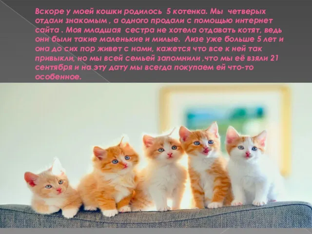 Вскоре у моей кошки родилось 5 котенка. Мы четверых отдали знакомым , а