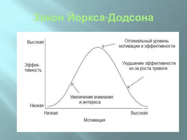 Закон Йоркса-Додсона